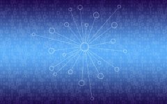 <b>电商平台搭建</b>