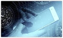 <b>网站维护与技术支持</b>